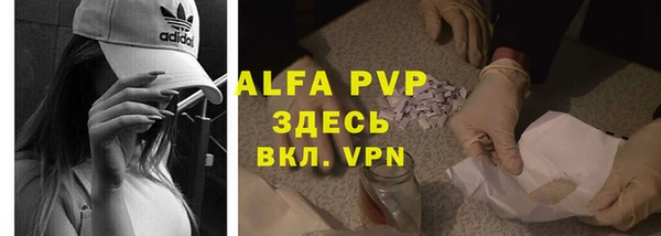 ГАЛЛЮЦИНОГЕННЫЕ ГРИБЫ Вязьма