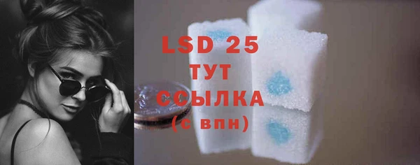 ГАЛЛЮЦИНОГЕННЫЕ ГРИБЫ Вязьма