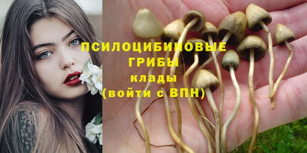прущая мука Горняк