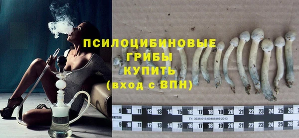 прущая мука Горняк
