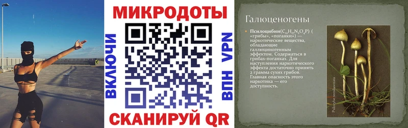 shop Telegram  Симферополь  Псилоцибиновые грибы Psilocybine cubensis  купить закладку 